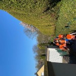 IMG_6068